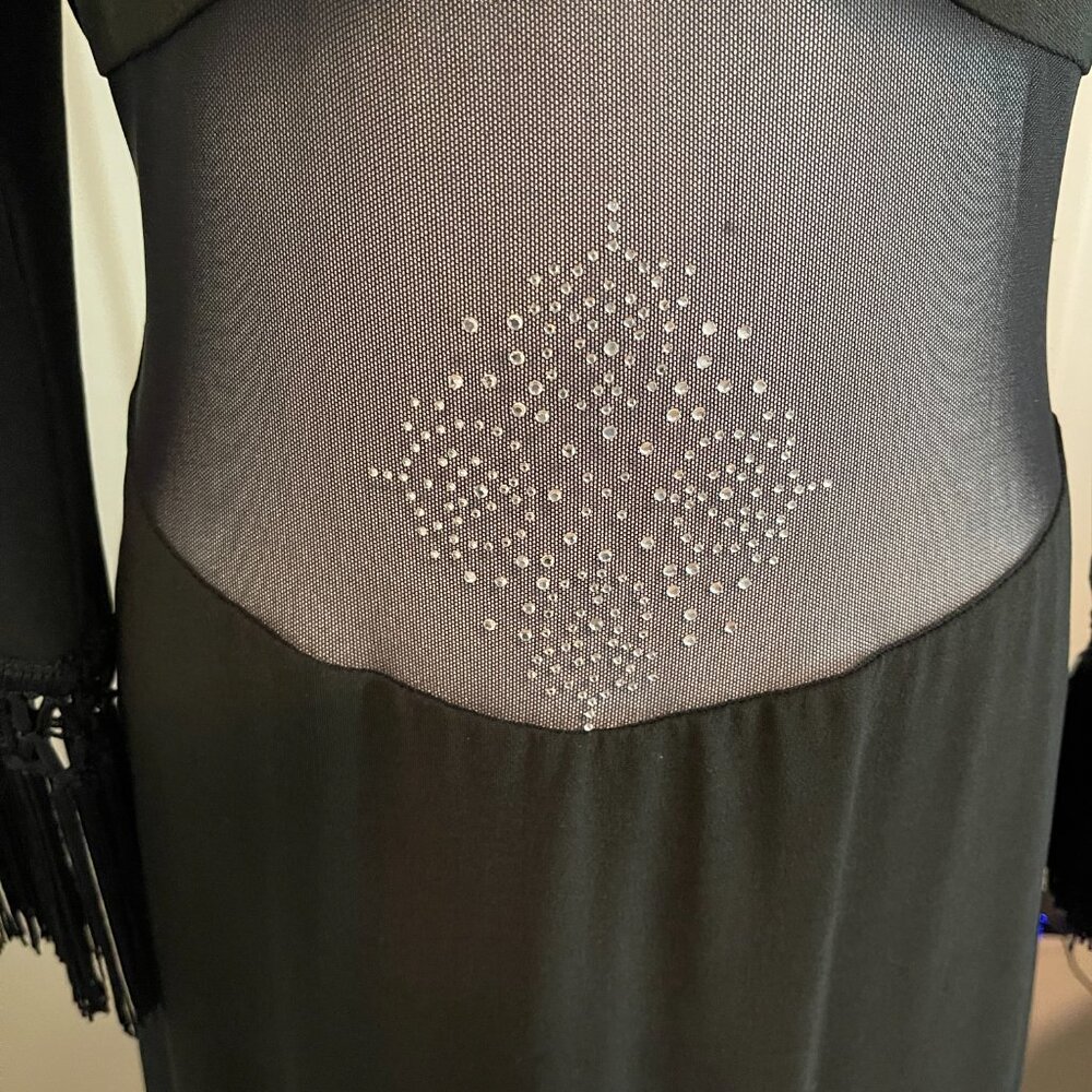 Vintage CDC Elegant Black Evening Gown with Sheer Mesh Panel & Fringe Sleeve - Picture 9 of 9